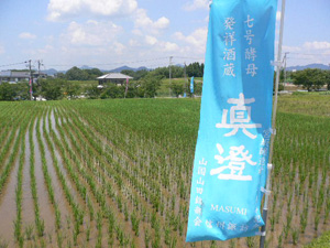 20120711-1.jpg